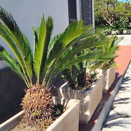 Etna View Letizia A Casa vacanze