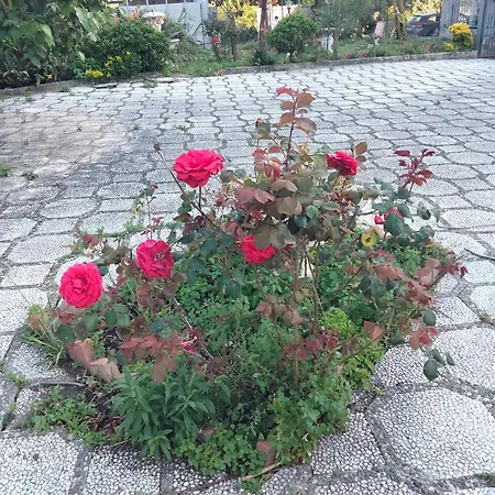 Casa vacanze Etna View Letizia A