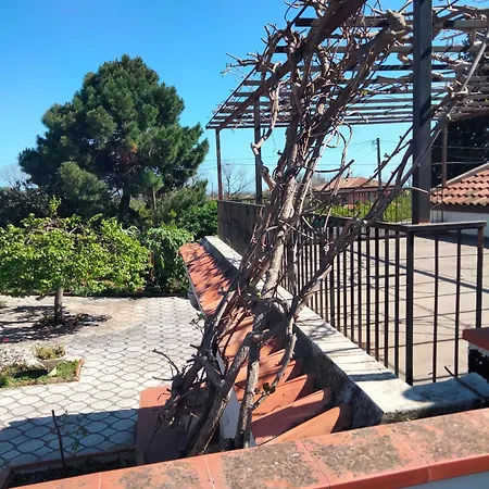 Etna View Letizia A Σπίτι διακοπών Ταορμίνα