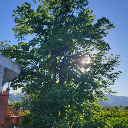 Prázdninový dům Etna View Letizia A *